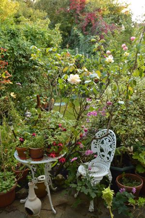 Photo 17- click for photo gallery